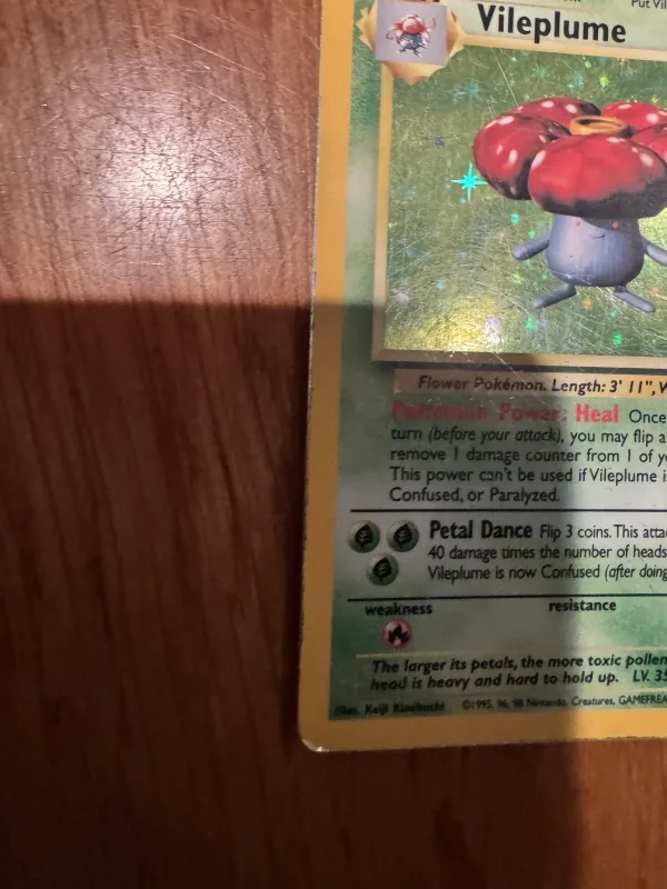 Vileplume foto 10