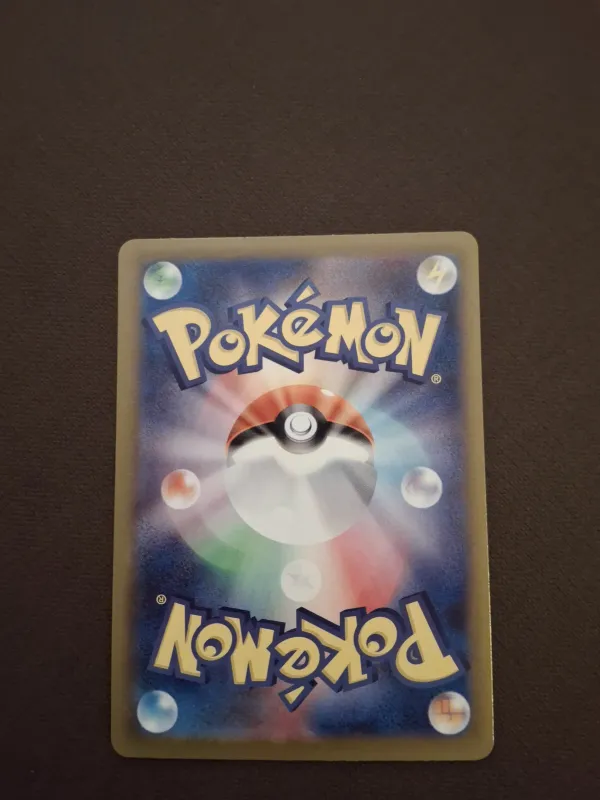 Raticate foto 2