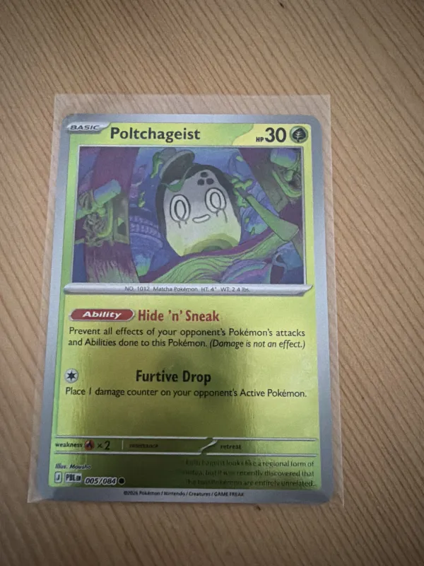 Poltchageist