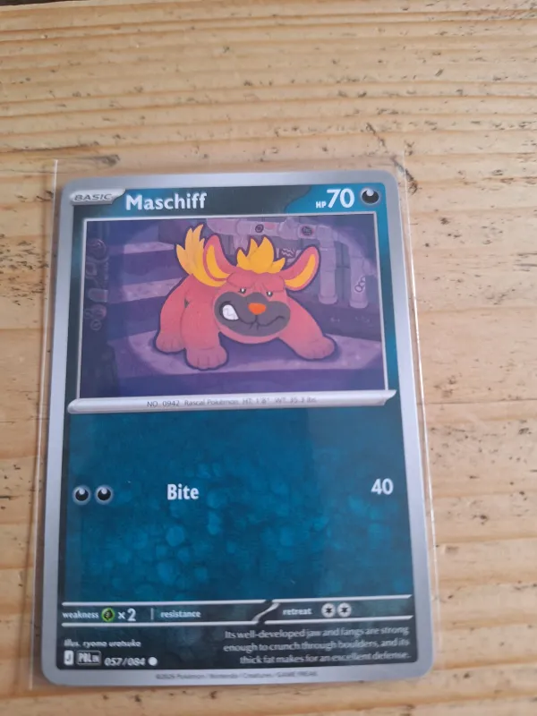 Maschiff