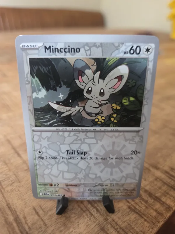 Minccino