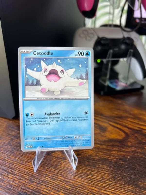 Cetoddle
