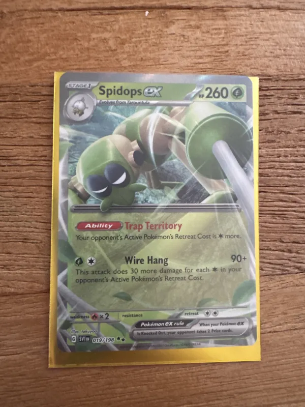 Spidops ex