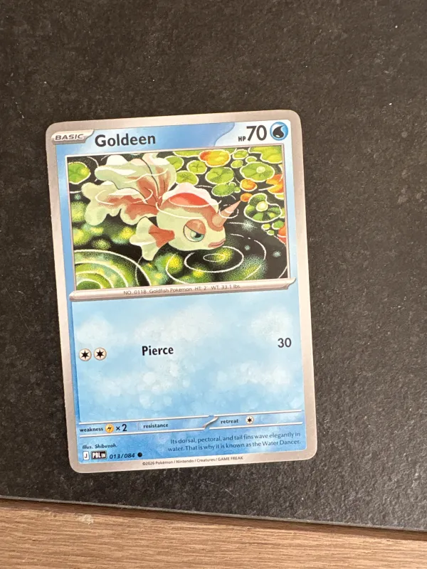 Goldeen