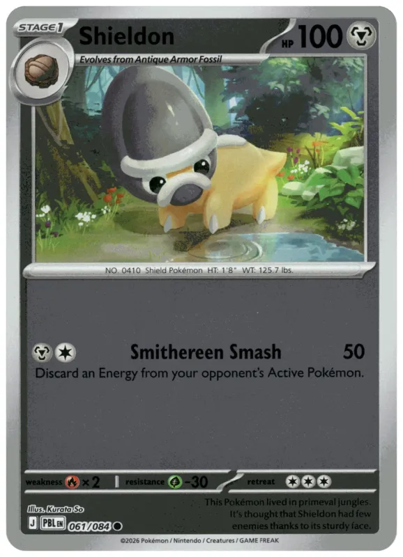 Shieldon