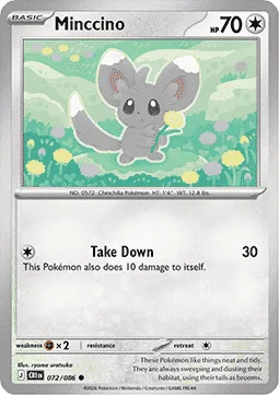 Minccino