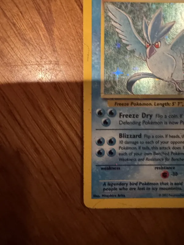 Articuno foto 3