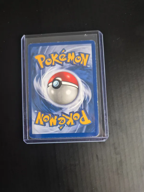 Squirtle foto 2