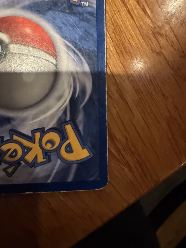 Articuno foto 7