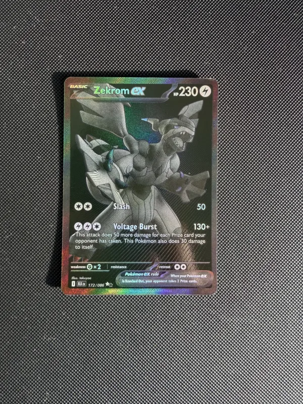 Zekrom ex foto 2