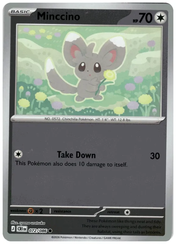 Minccino