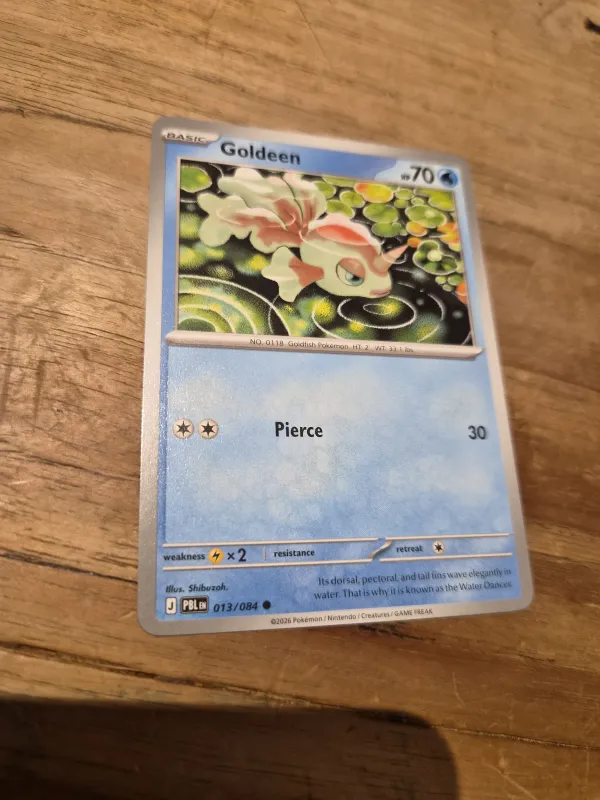 Goldeen