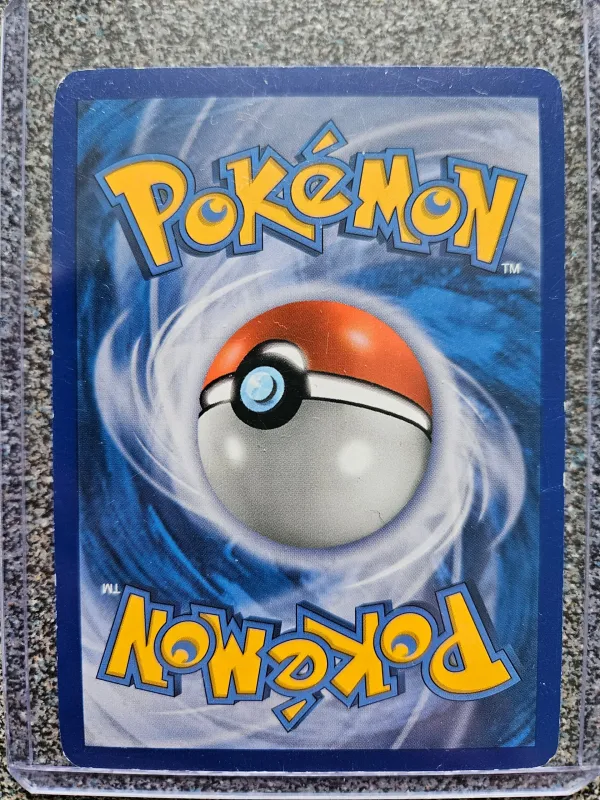 Articuno foto 2