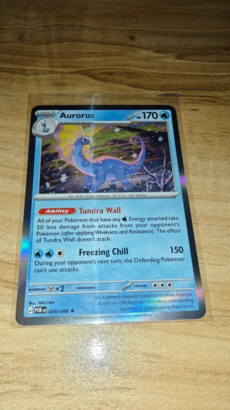 Aurorus foto 2