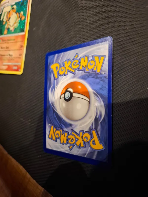 Rockruff foto 2
