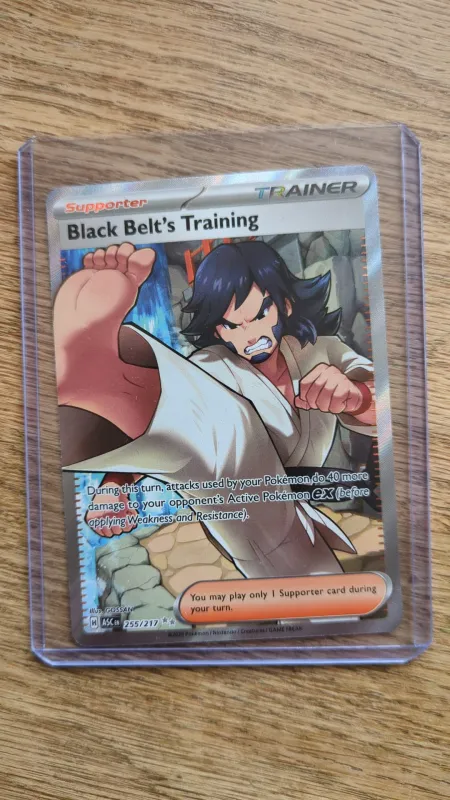 Black Belt's Training