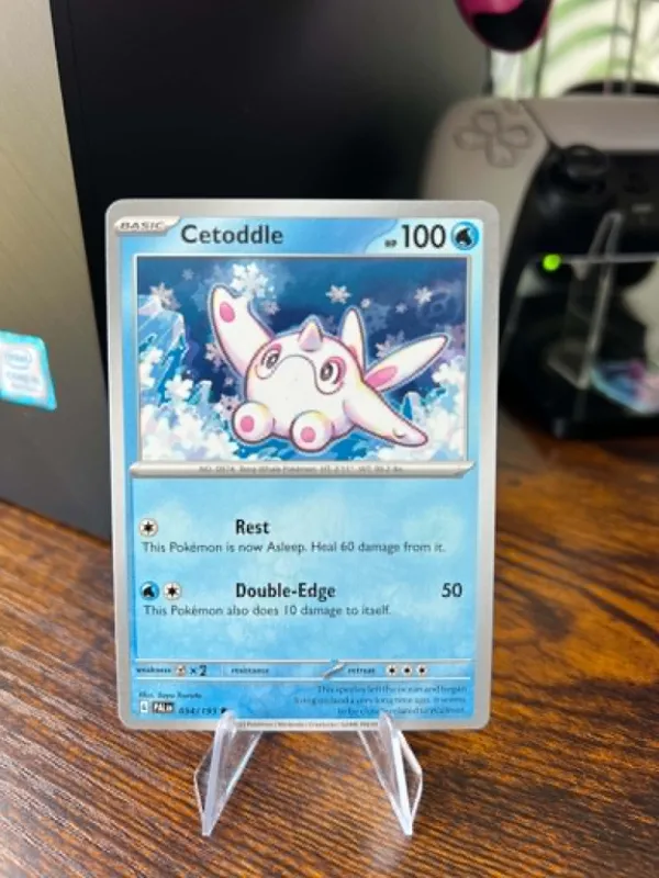Cetoddle