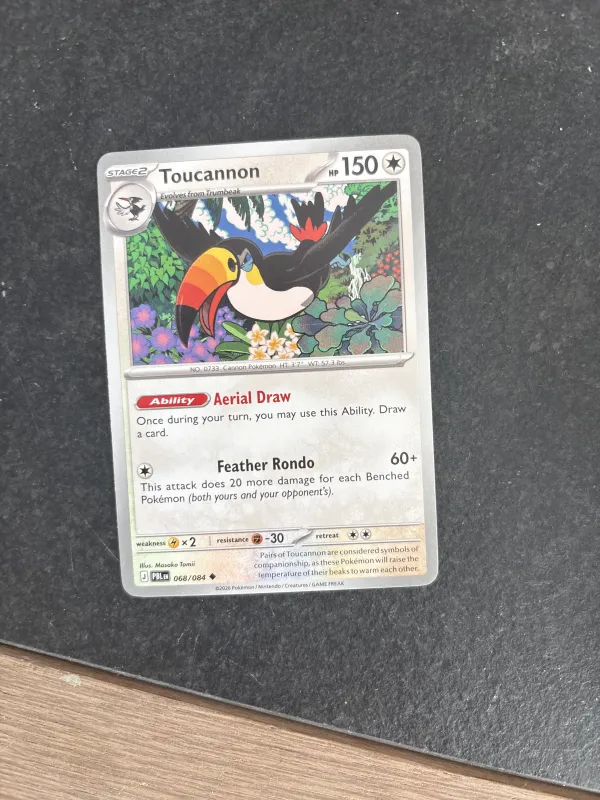 Toucannon