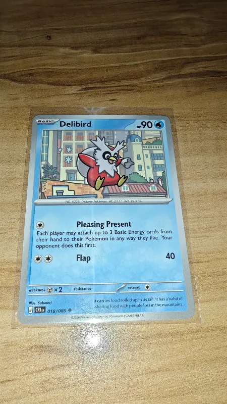 Delibird foto 2