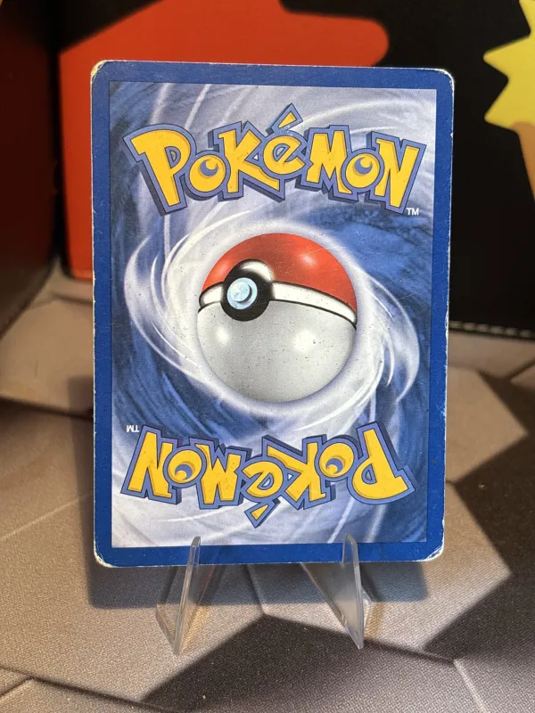 Omanyte foto 2