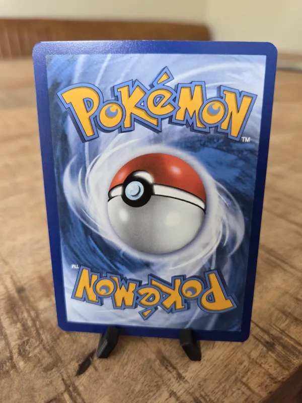 Swinub foto 2