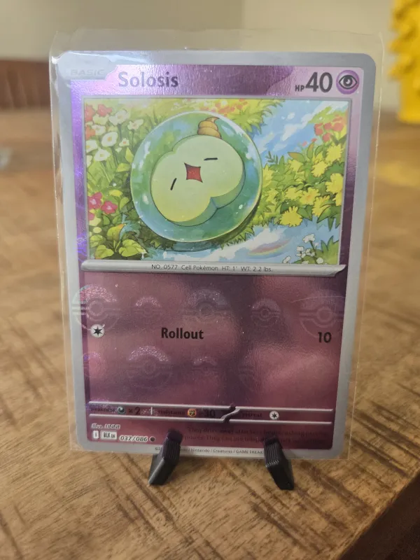 Solosis