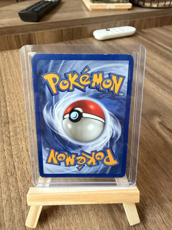 Zapdos foto 2