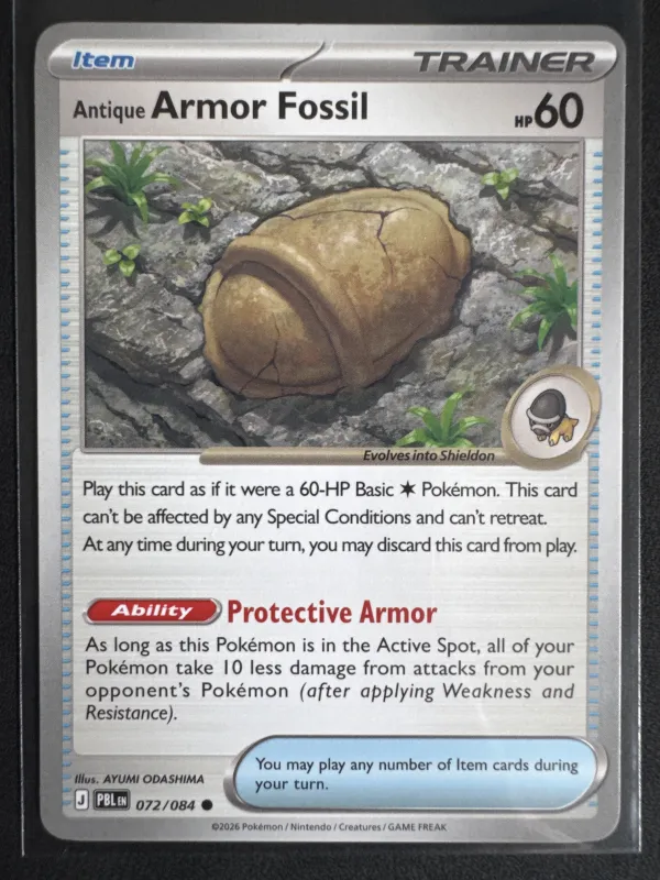 Antique Armor Fossil