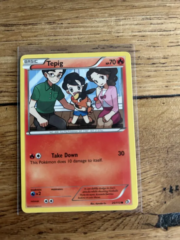 Tepig