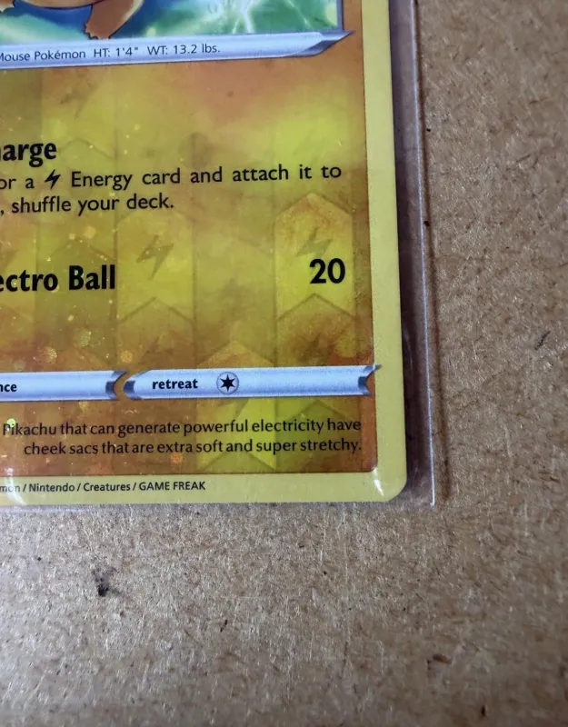 Pikachu foto 5