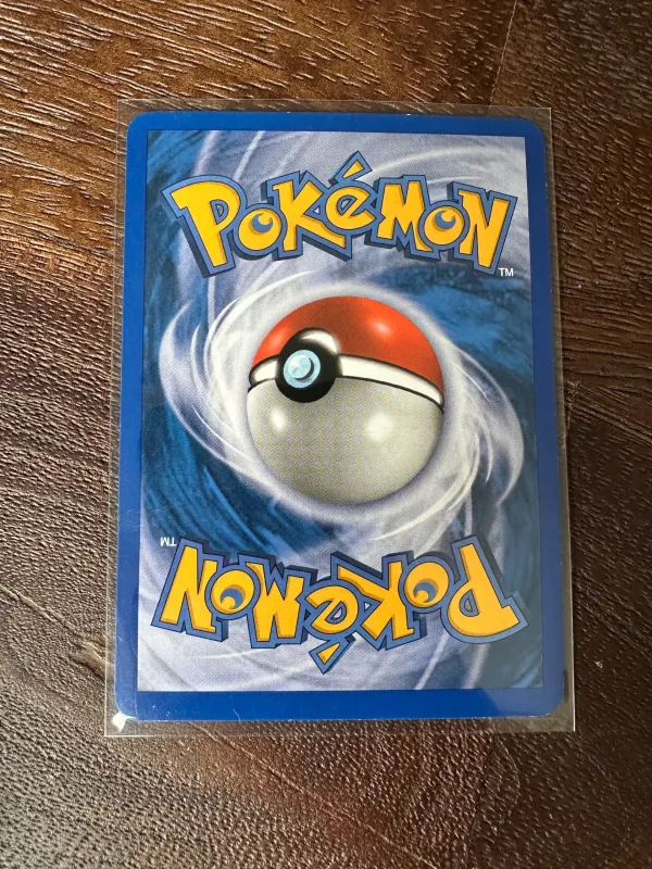 Castform foto 2