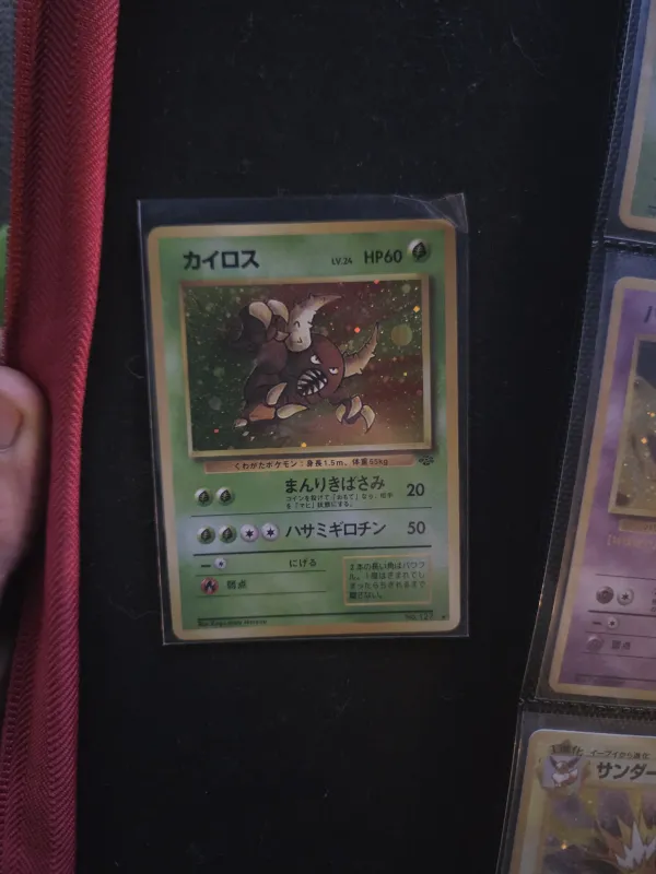 Pinsir