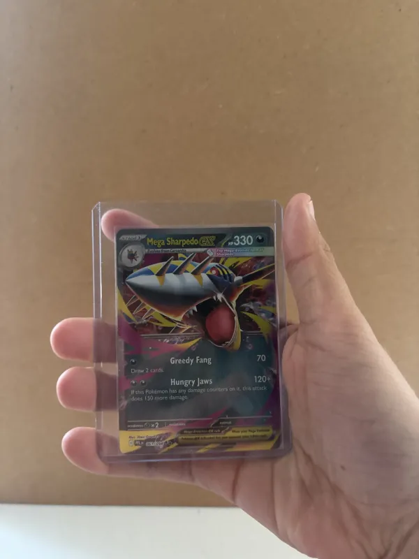 Mega Sharpedo ex