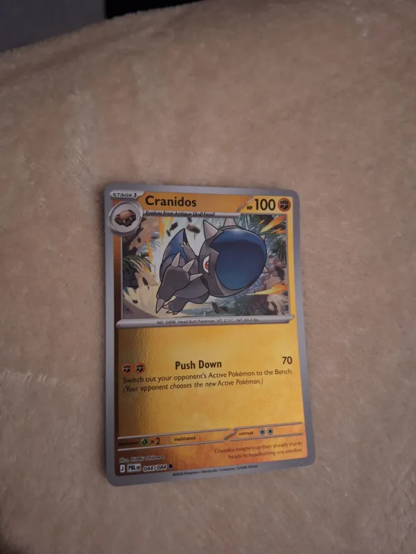 Cranidos foto 2
