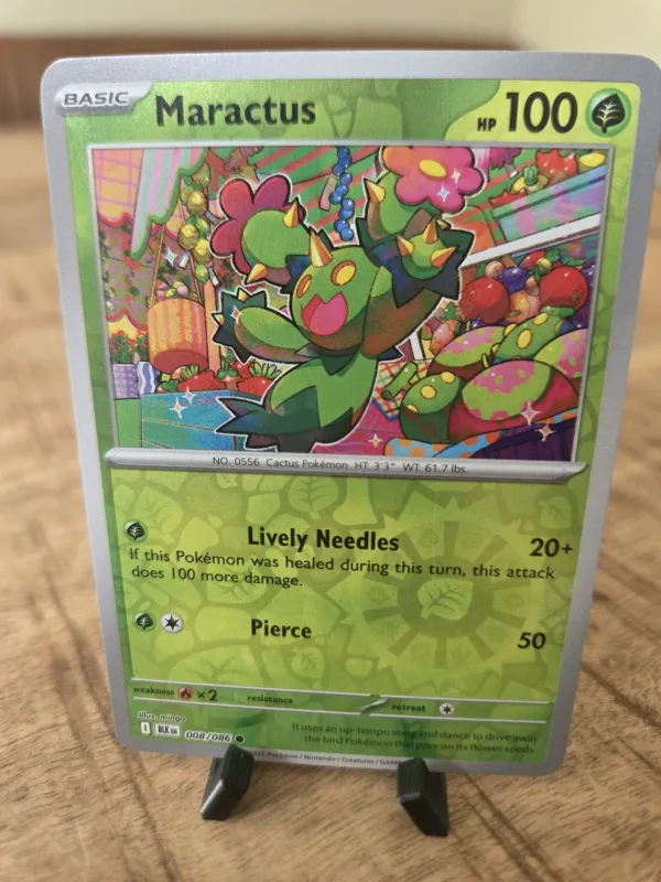 Maractus