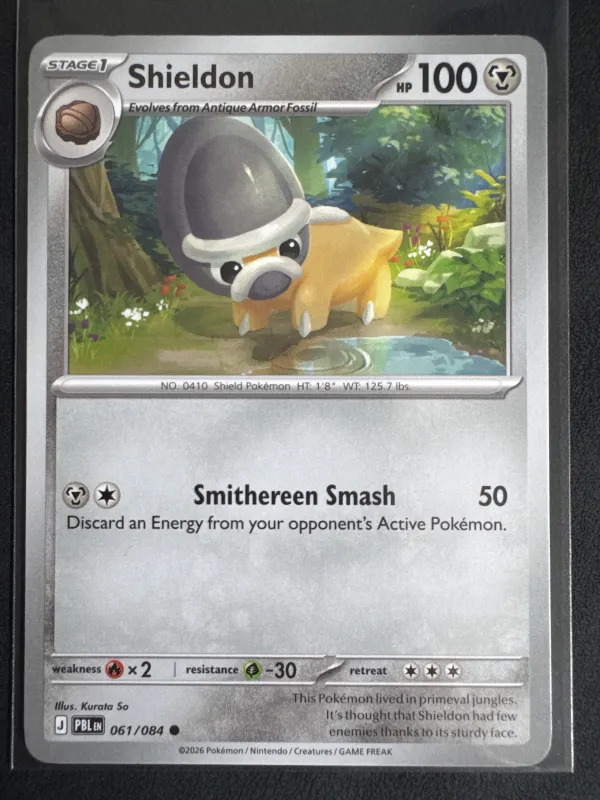 Shieldon