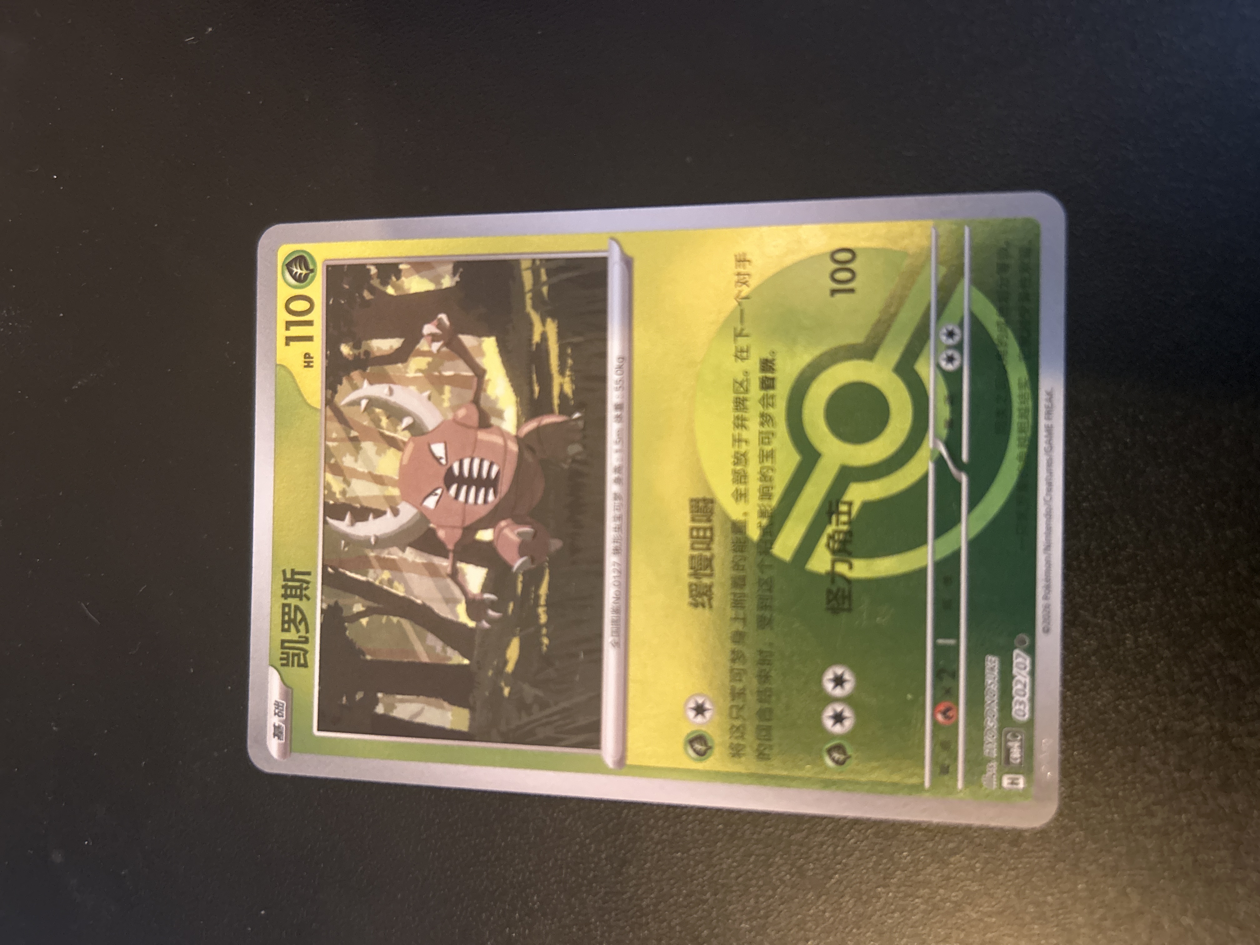 Pinsir foto 1