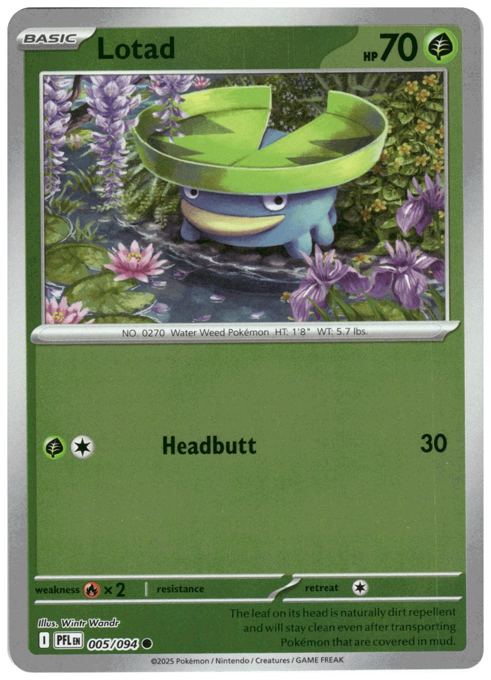 Lotad