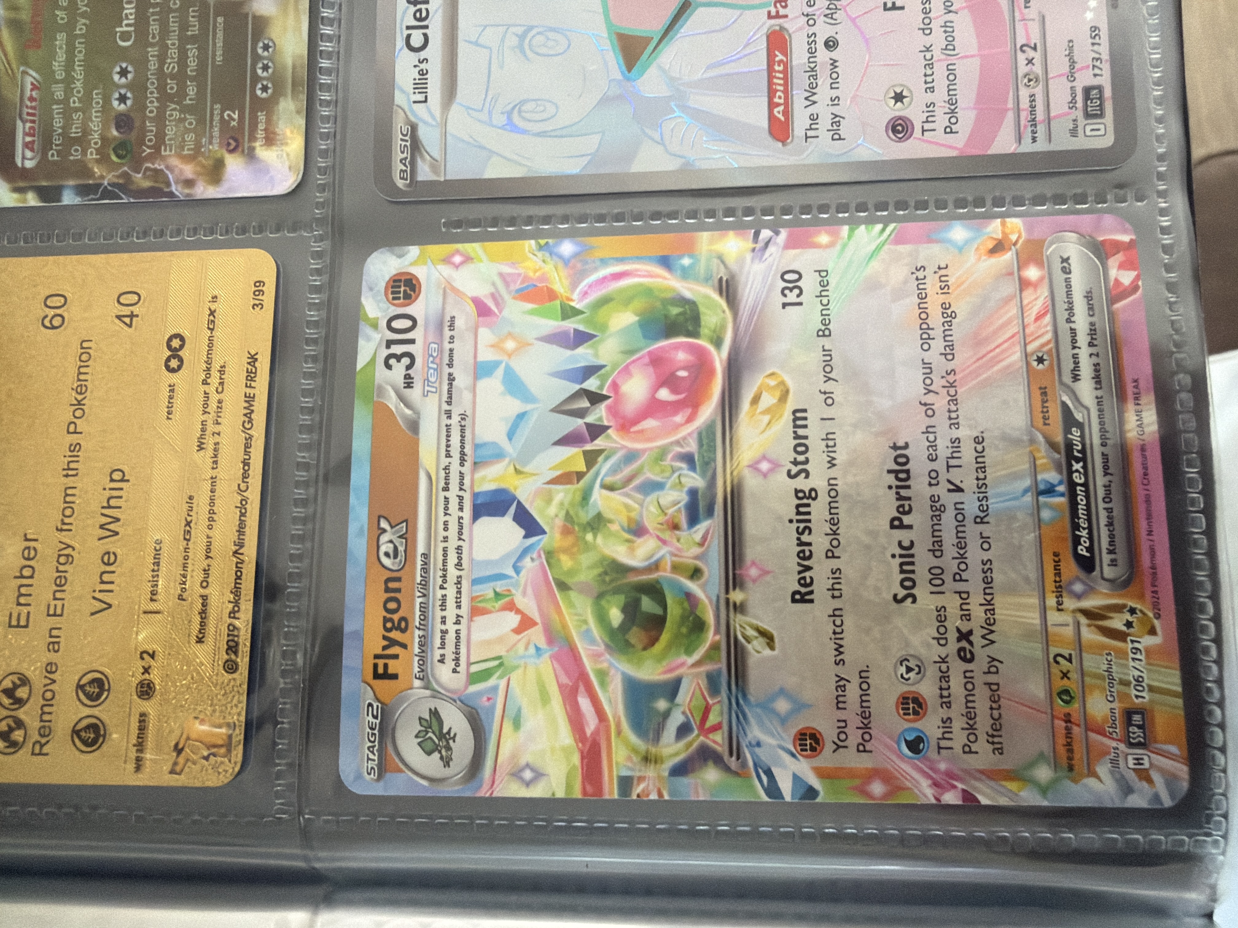 Flygon ex foto 1