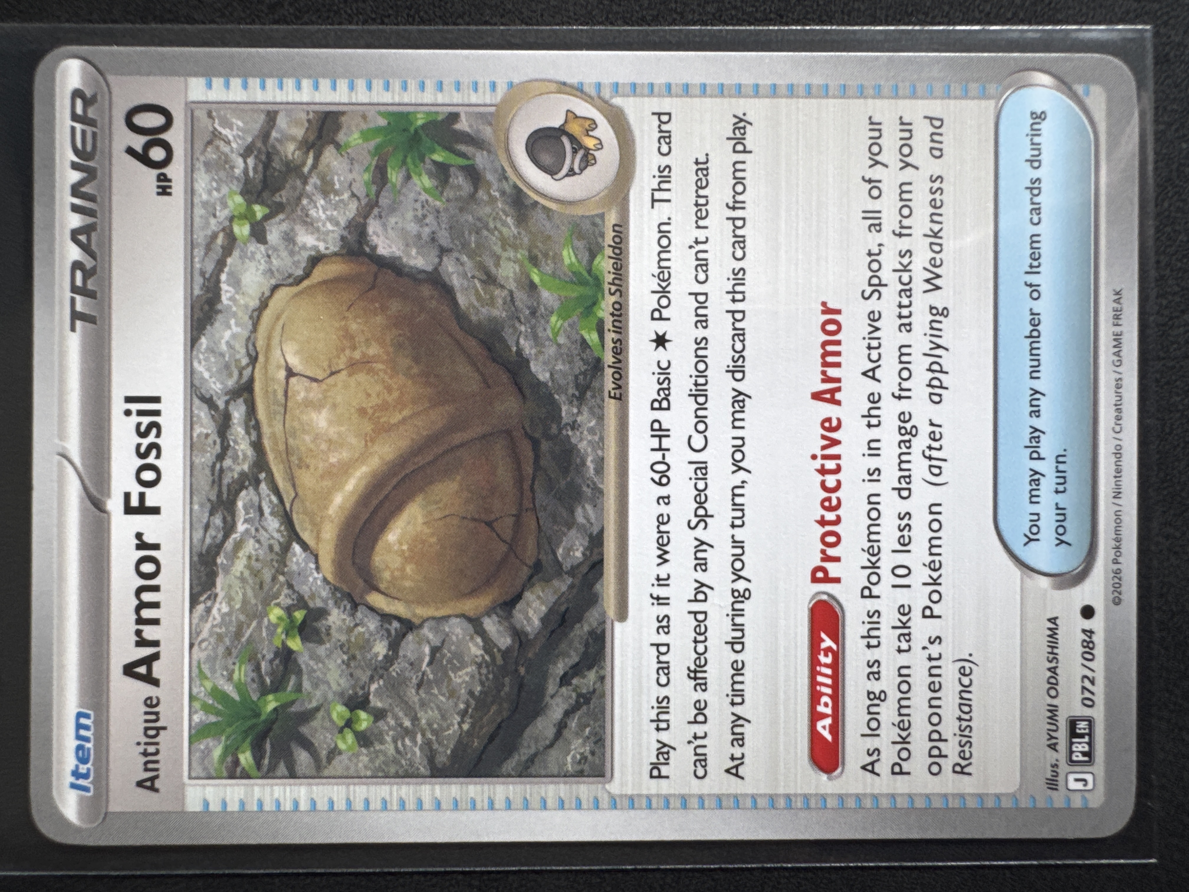 Antique Armor Fossil