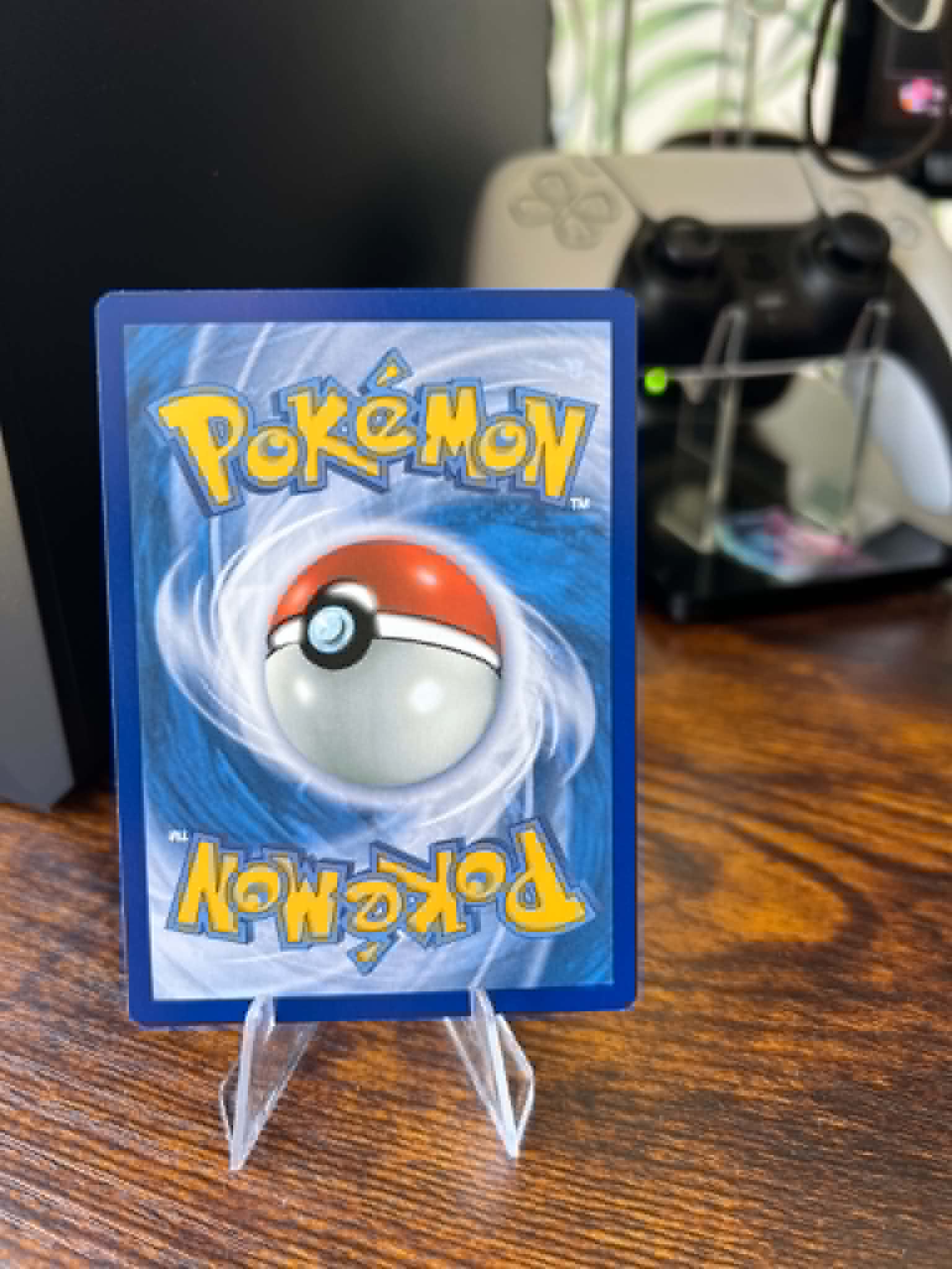 Spinda foto 2