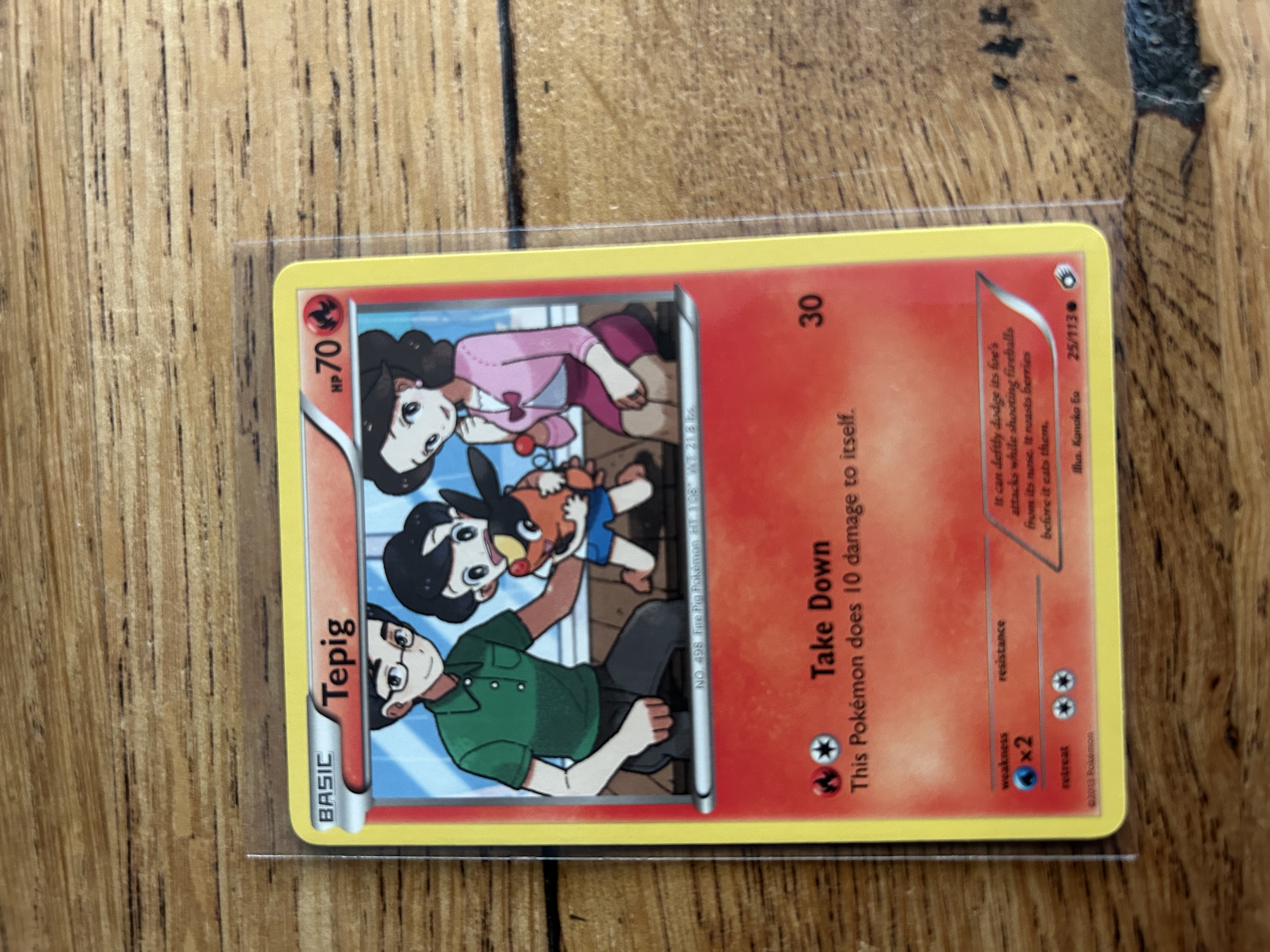 Tepig foto 1