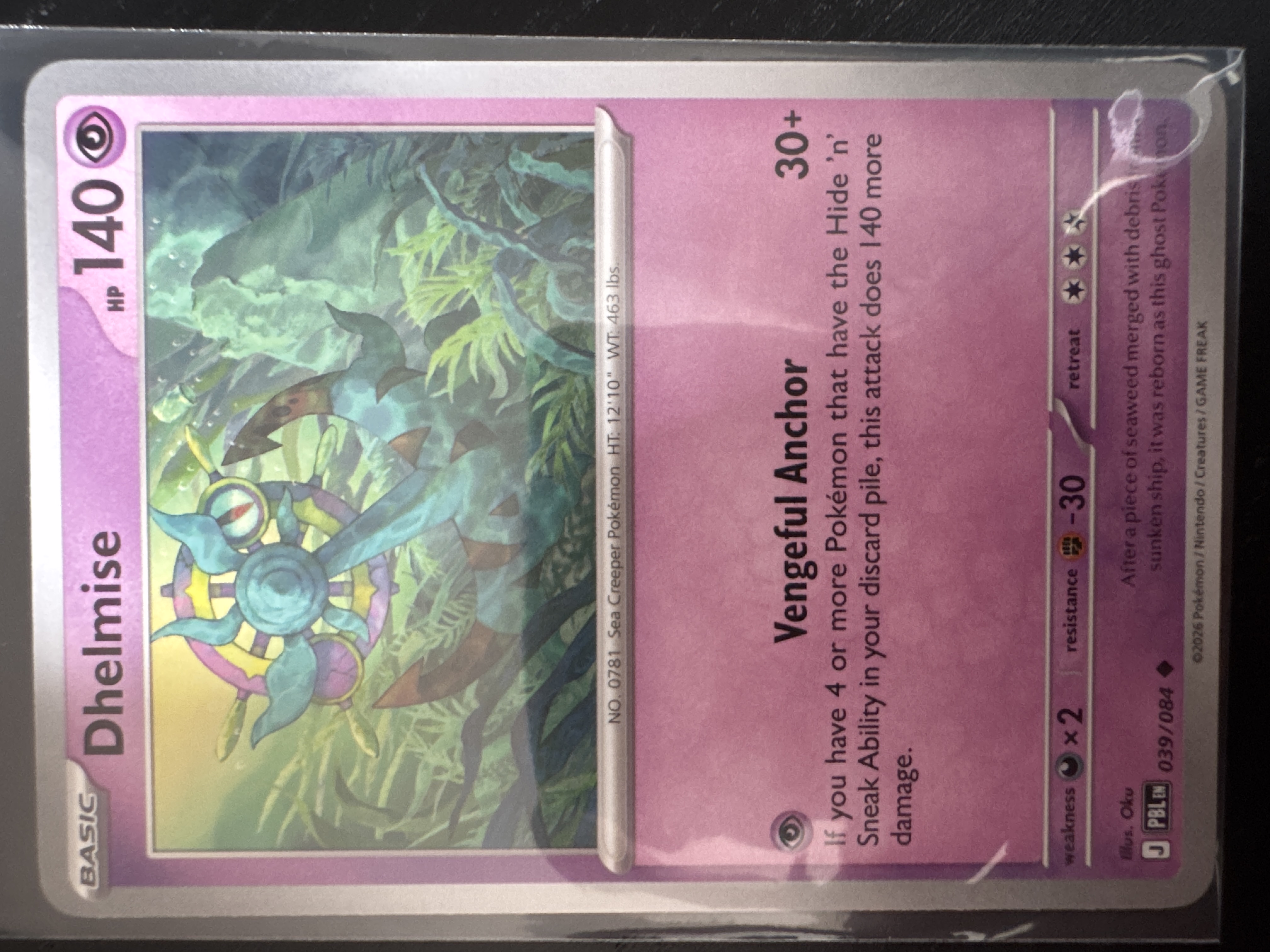 Dhelmise foto 1