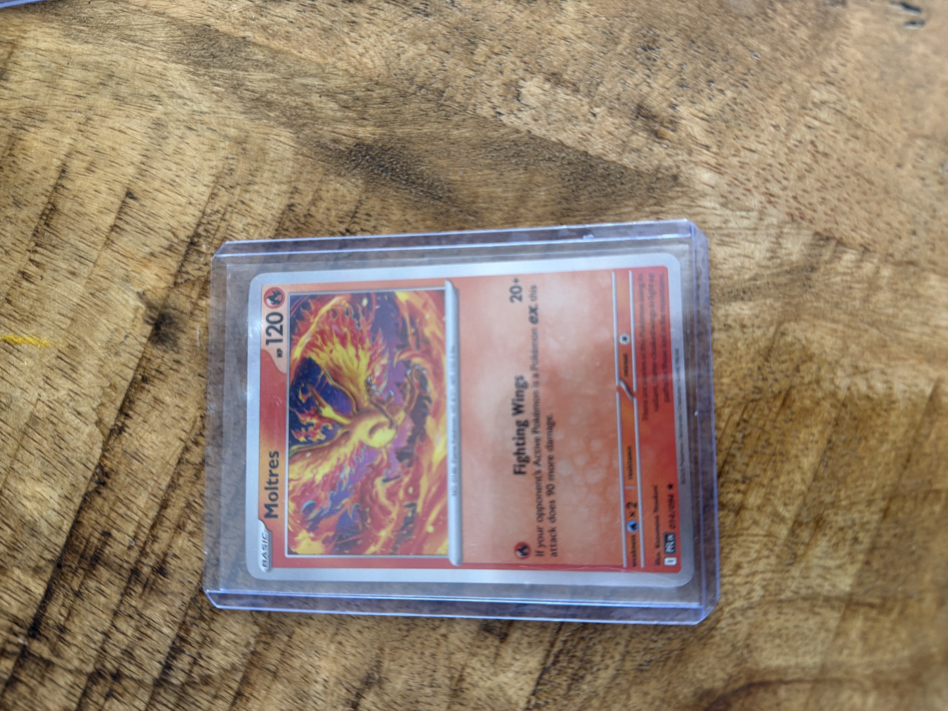 Moltres foto 1