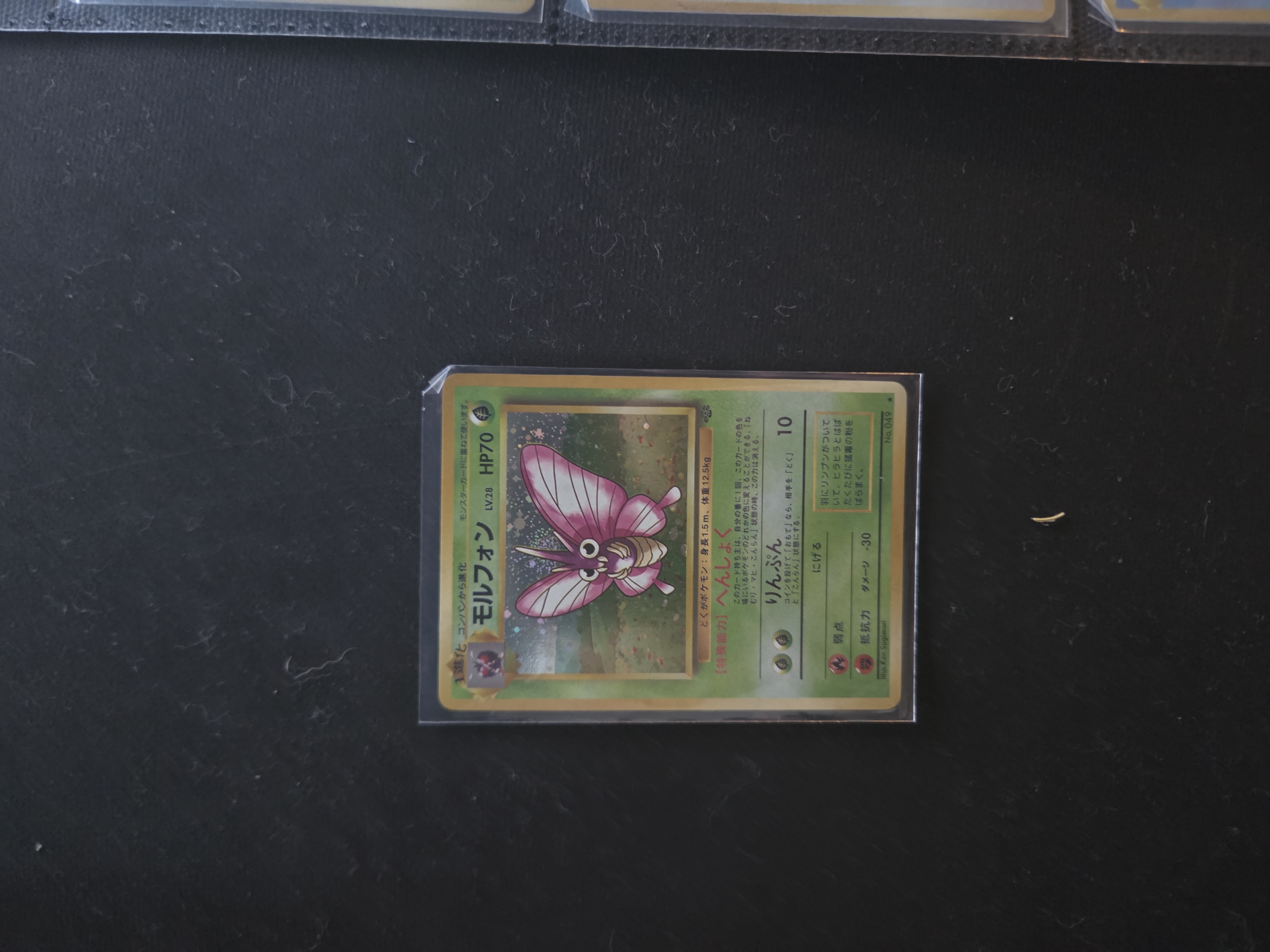 Venomoth foto 1