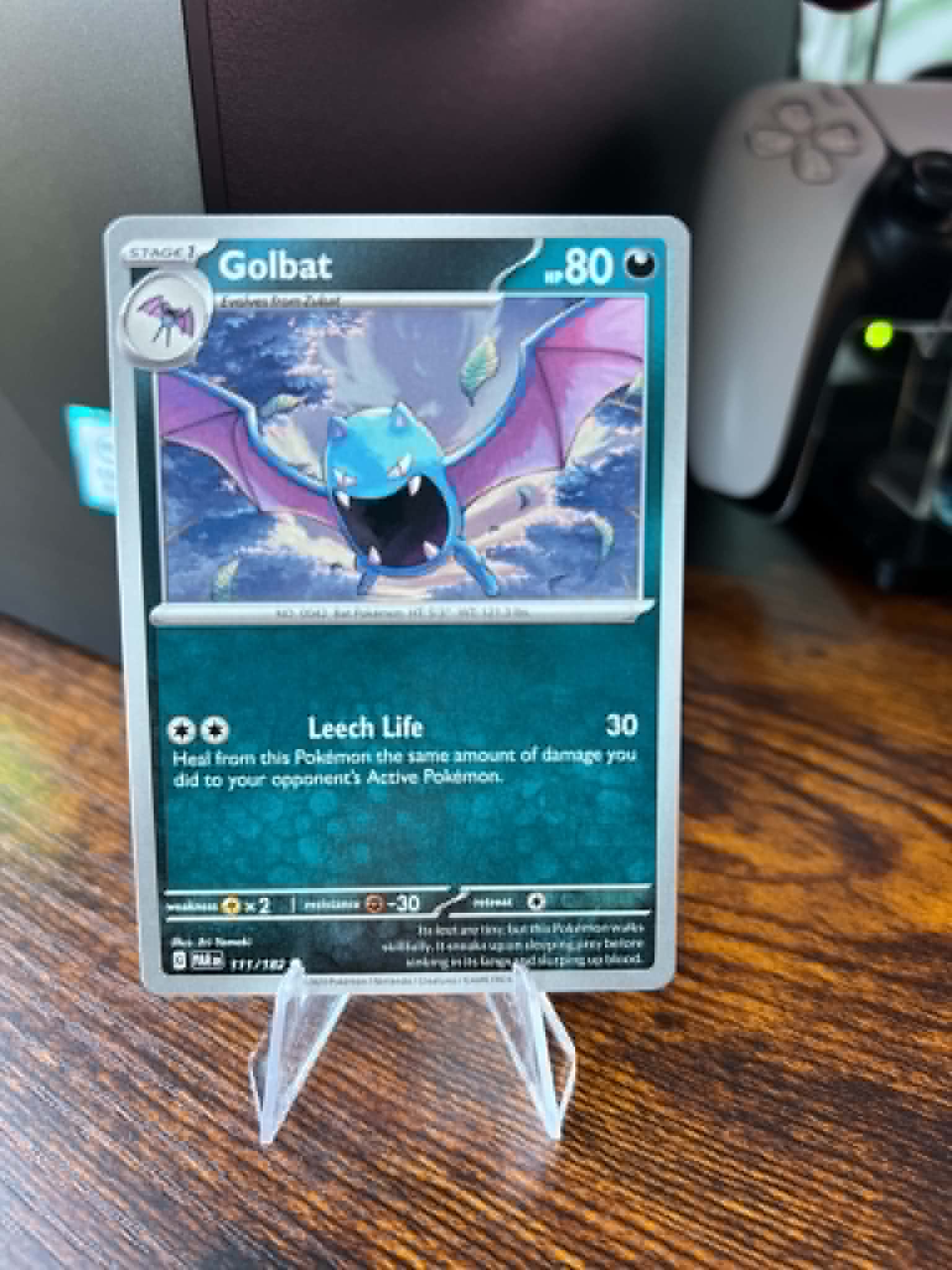 Golbat foto 1