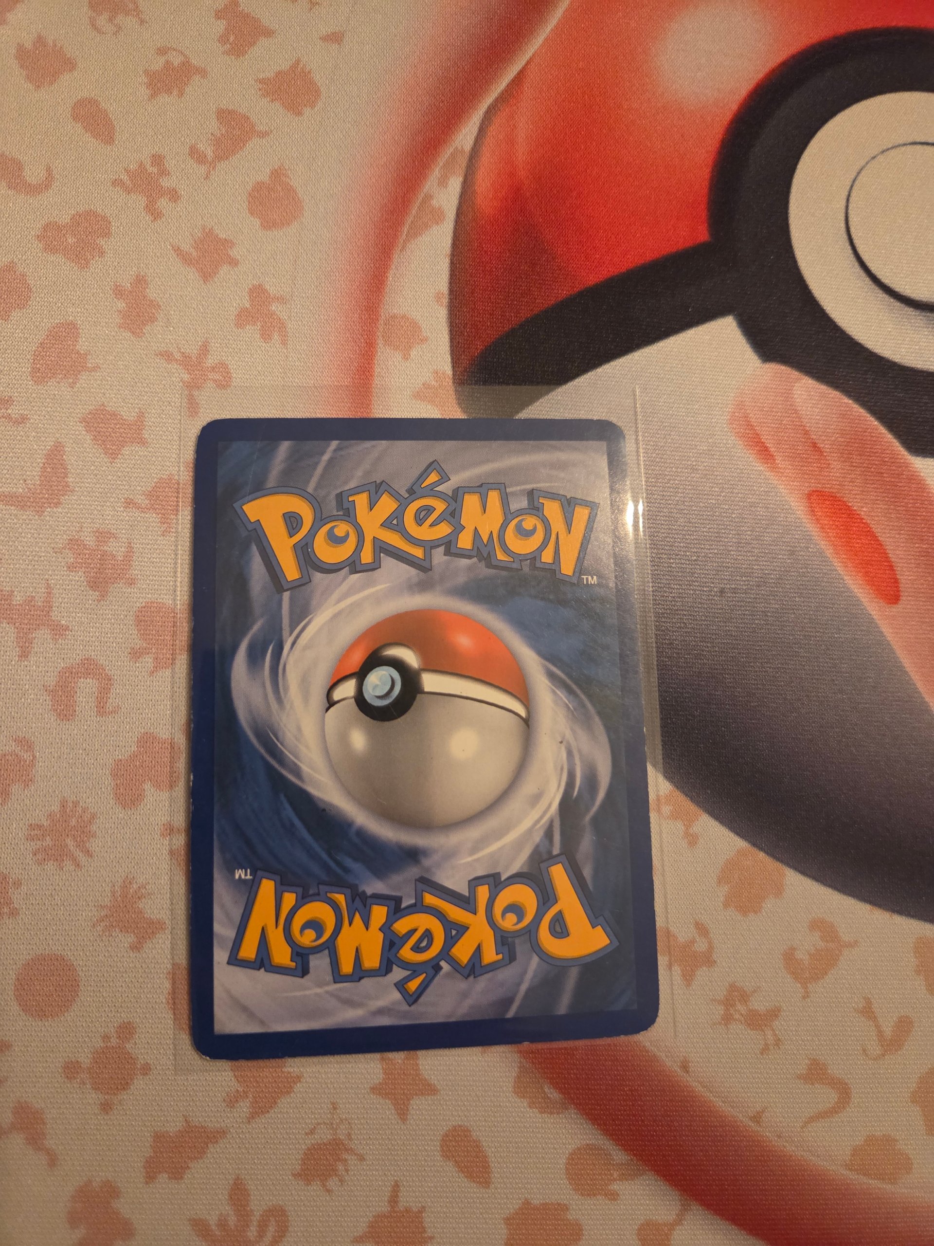 Bidoof foto 2