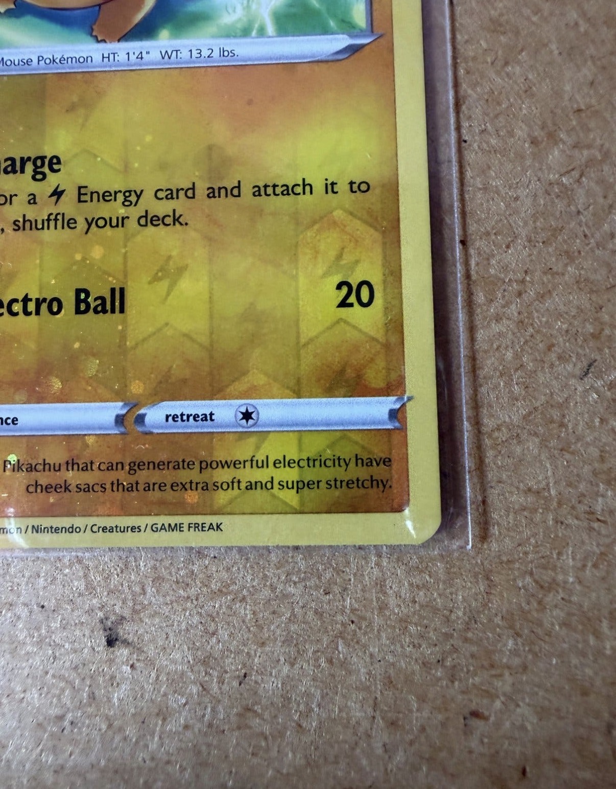 Pikachu foto 5