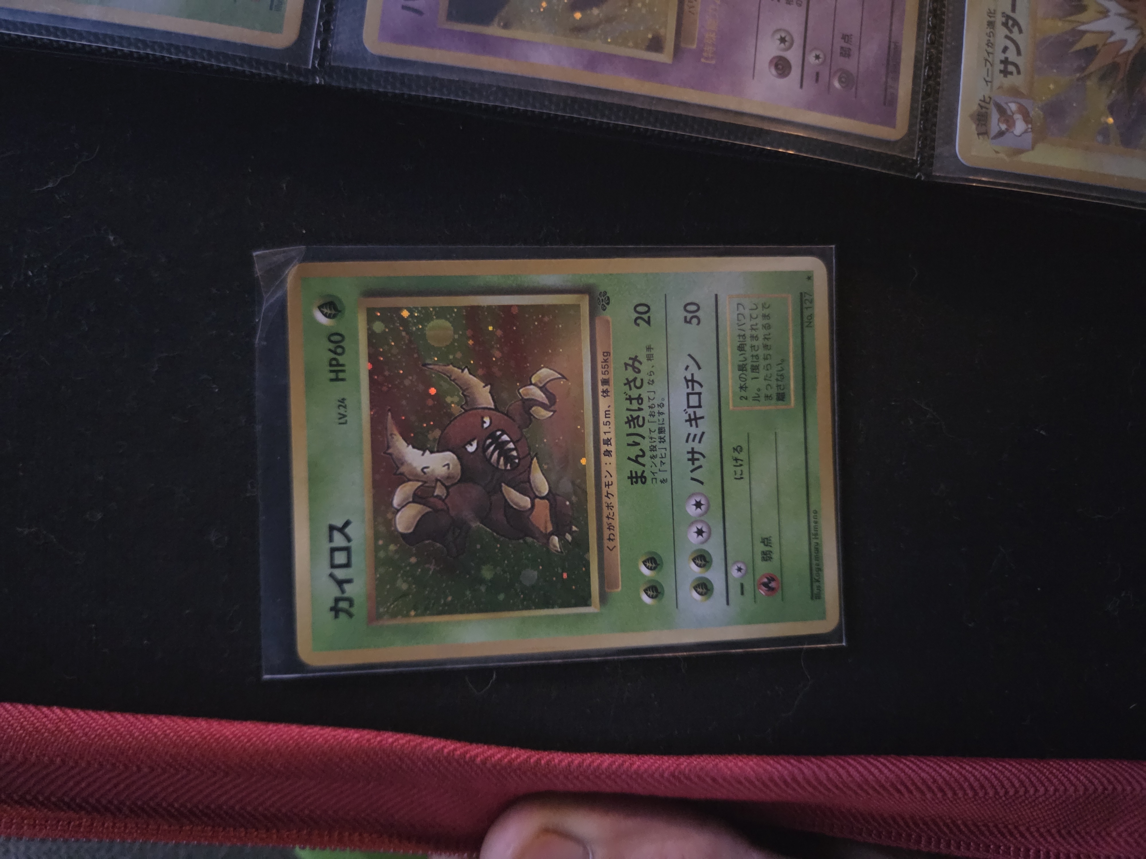 Pinsir foto 1