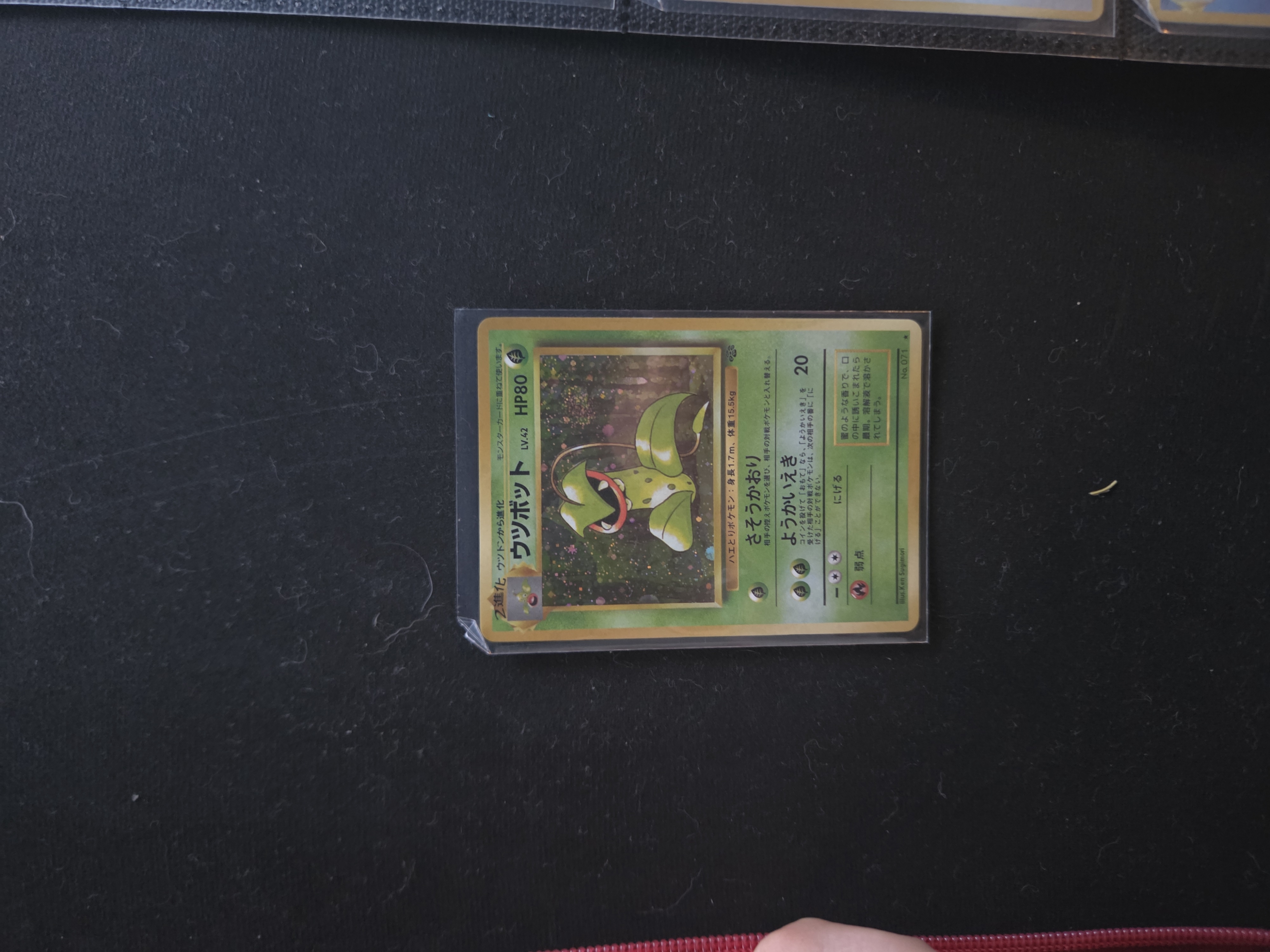 Victreebel foto 1